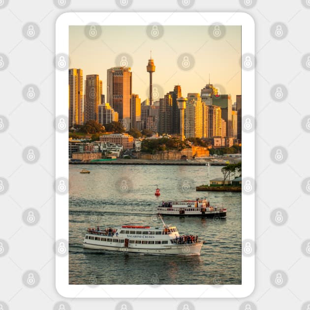 Cruising Sydney Harbour, Sydney, NSW, Australia Sticker by Upbeat Traveler